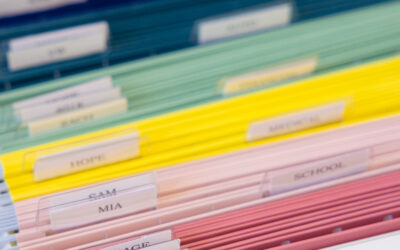 The Safest (and Most Organized) Way to Handle Sensitive Paperwork