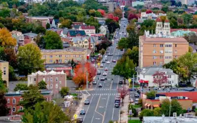 Top Estate Clearing & Cleanout Services in Connecticut 2026 List