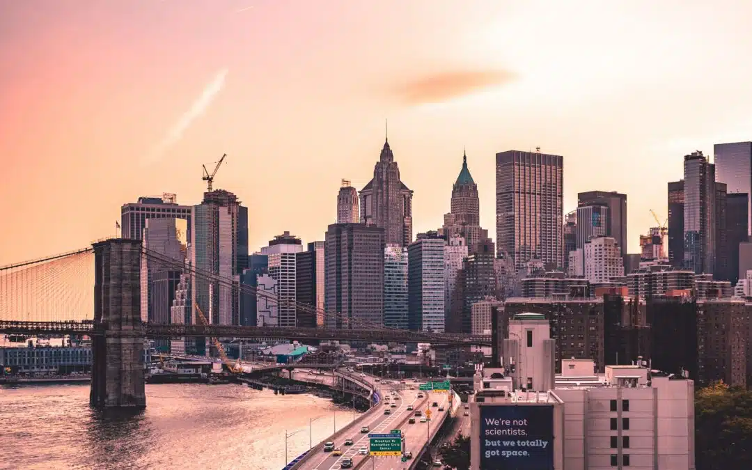 The Best NYC Home Organization Companies in 2025