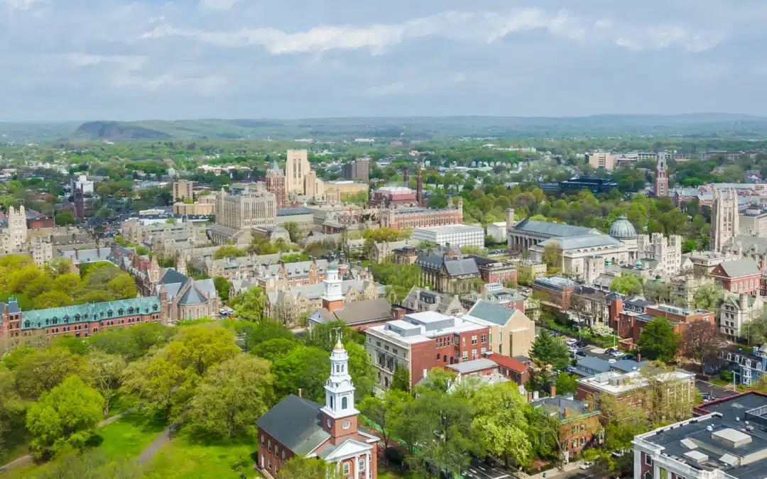 Top Home Organizing Services in Connecticut 2026