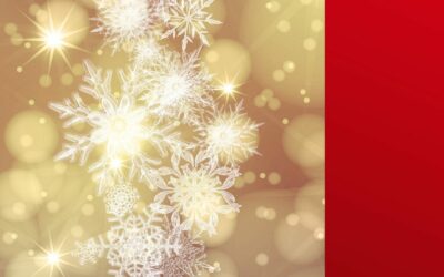 DDH Home Organizing & Move Management’s 2020 Holiday Gift Guide