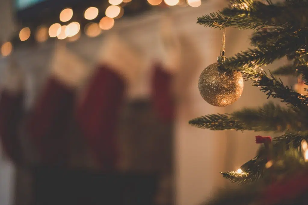 Christmas tree with ornament