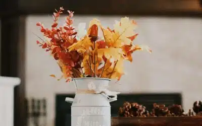 Start Your Fall Reset Today