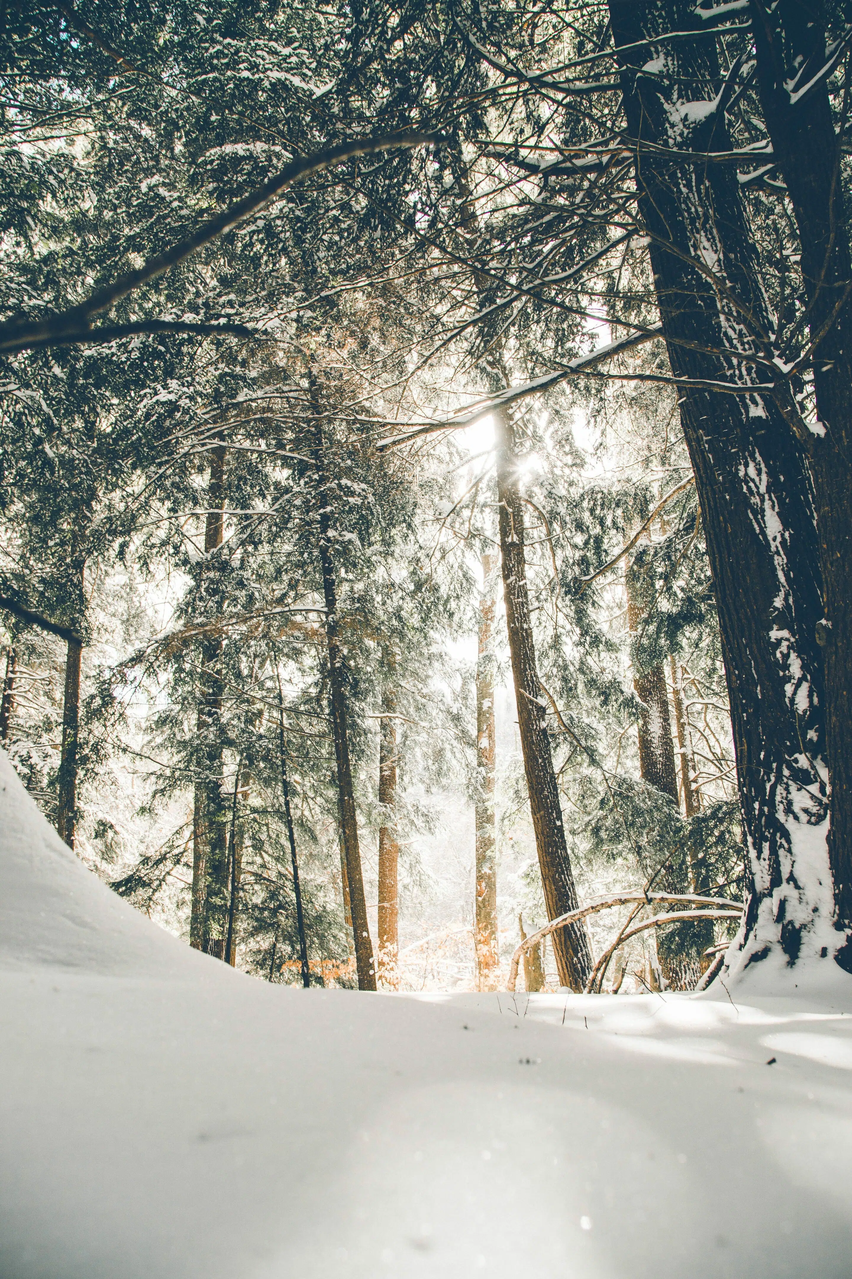 How To Conquer Winter Weather – Women’s Edition