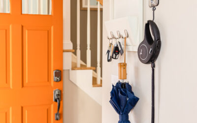 Why Your Entryway Looks Like A Pet Store Exploded