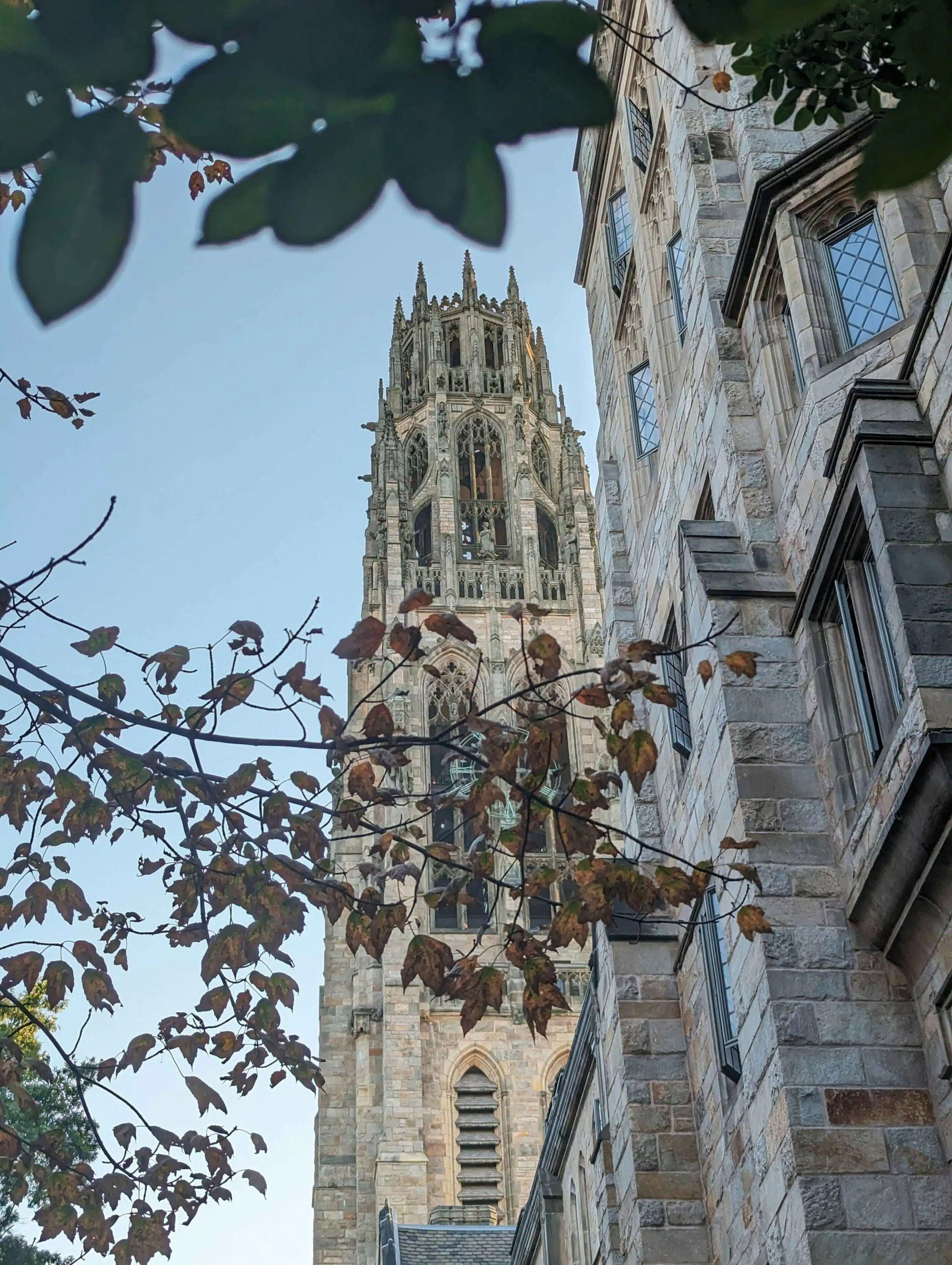 siddhardha-kancharla-Hel8ZWsSw-Q-unsplash-min (1)